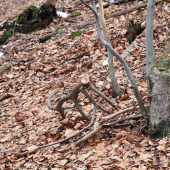 Dnes sa konečne zadarilo