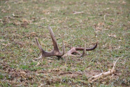 Dnes na obed - 98 cm a 2,25 kg