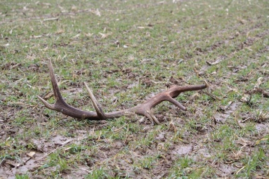 Dnes na obed - 102 cm a 2,60 kg