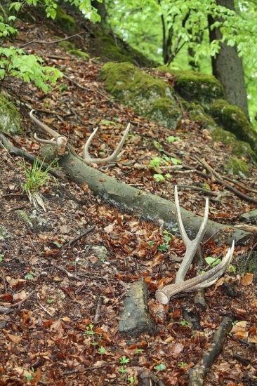 Po dvoch mesiacoch konečne spolu