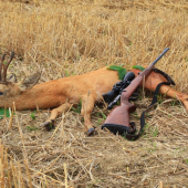 Včera nafotený, dnes ulovený
