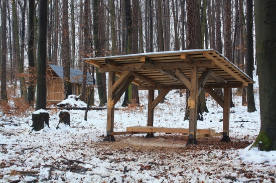 Dnešné doplnenie krmiva