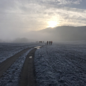 krasne rano na spolocnej polovacke