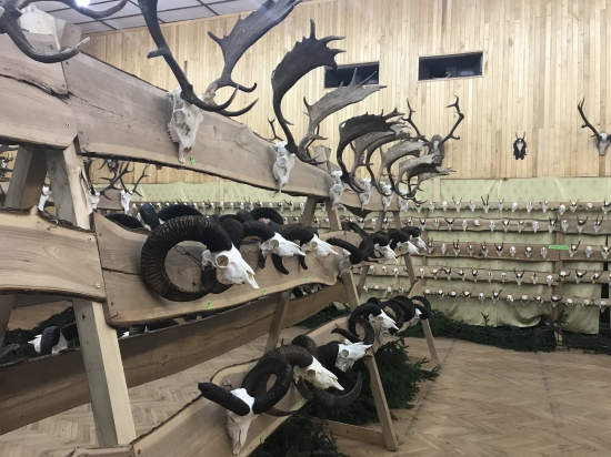 chovatelska prehliadka