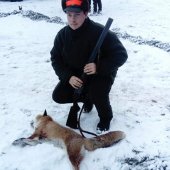 První má liška ulovená na naháňce