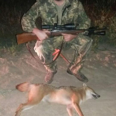 Šakal