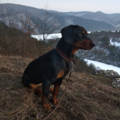 FABA spod Hradeckej lúky