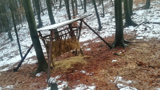 Trošku som bol zakŕmiť