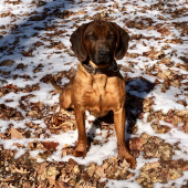 Dnešná prechádzka