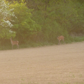 príroda je mocná čarodejka