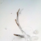 Ani si neviete predstavit ako potesil po tom chodeni :)