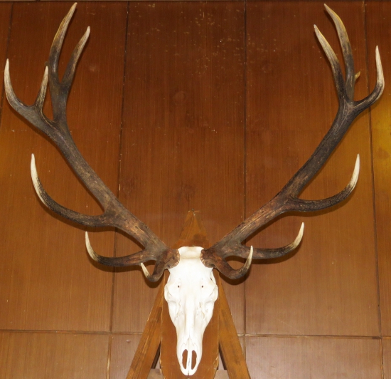 najsilnejší z Poľany