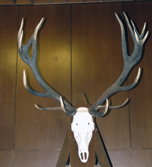 ešte jeden z Poľany