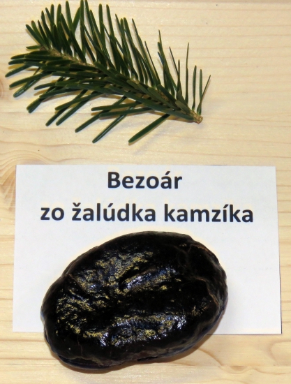 bezoár