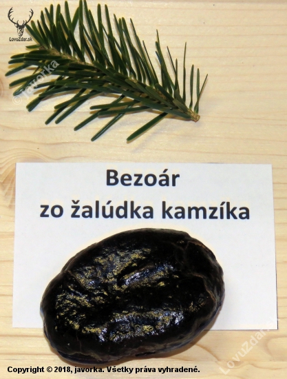 bezoár