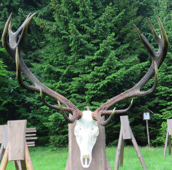 ešte jedno zlato zo Zálomskej