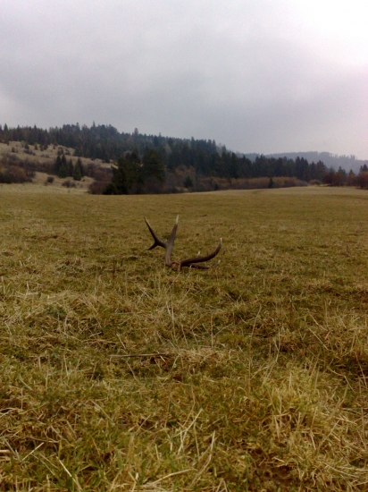 marcová spomienka...