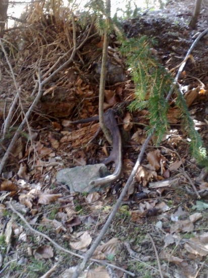 dnešny skryty osmak...