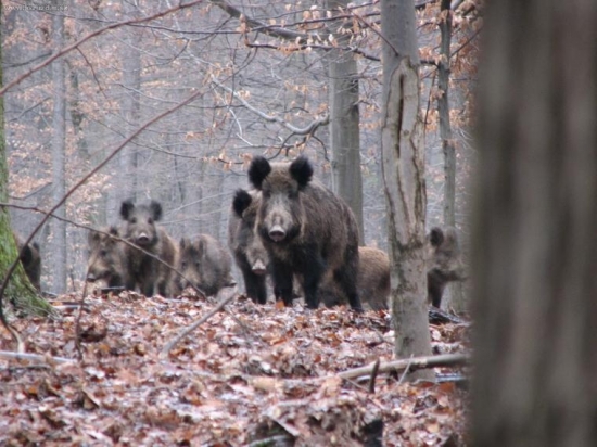 Vedúca 20 člennej výpravy