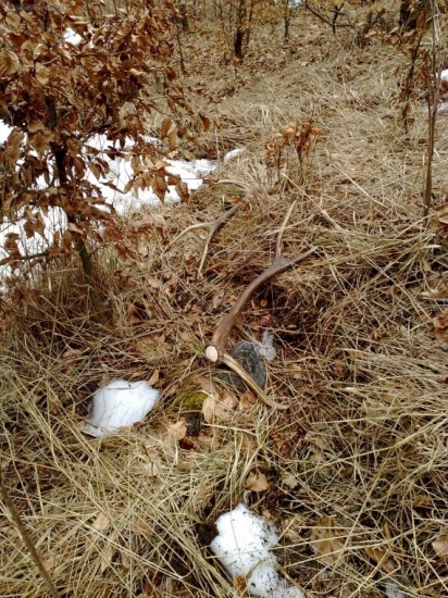 este nedotknute clovekom...