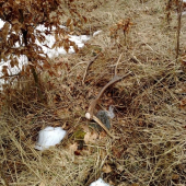 este nedotknute clovekom...