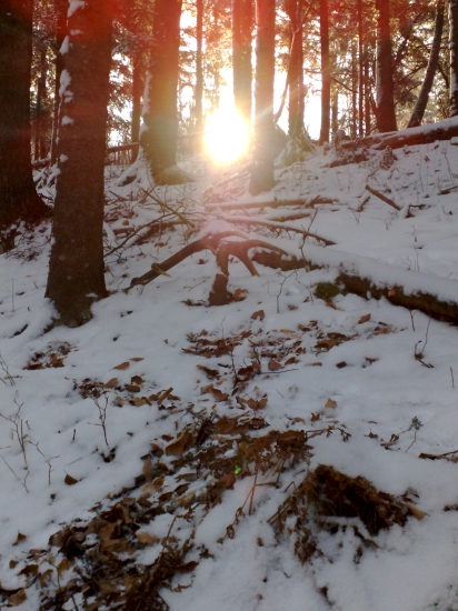 ranne brieždenie v marci