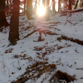 ranne brieždenie v marci