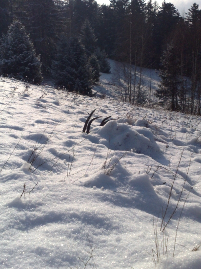 zimná spomienka II.