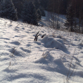 zimná spomienka II.