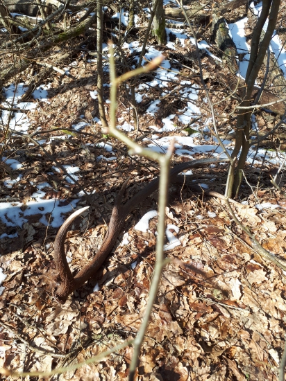 Desatorak 110cm 2,3kg