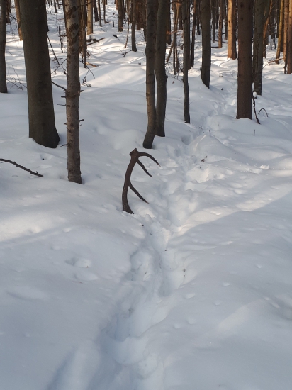 16-tka 2,7kg prvý pohľad