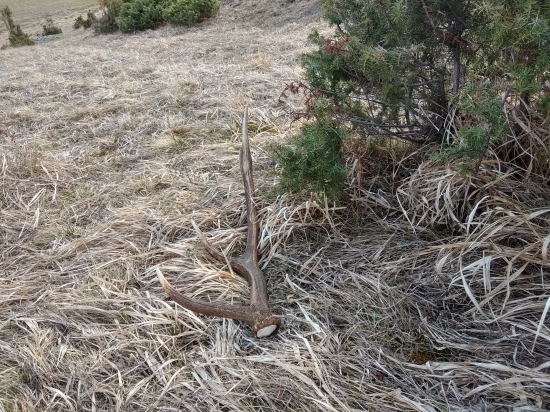 Sestacik cestou domov