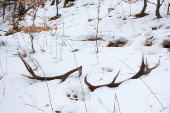 ...a takto si tam ležali.