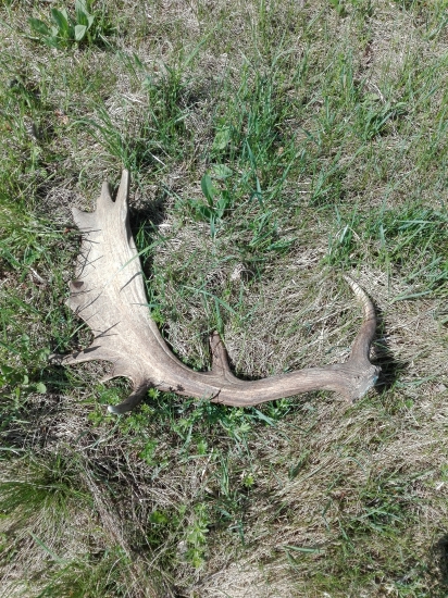 S tých väčších...