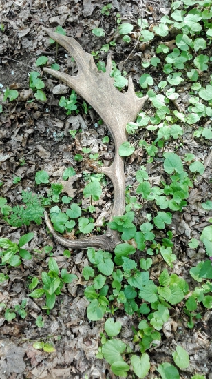 Už s tých menších...