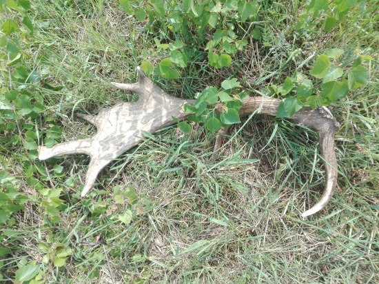 Zasa sa pošťastilo...