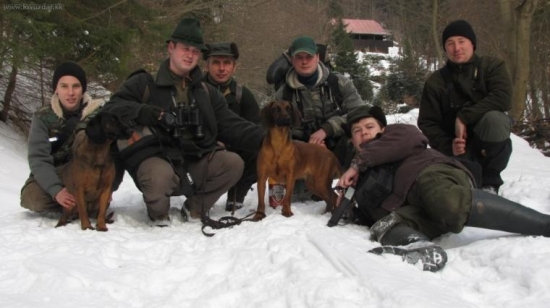 vikend trebostovo