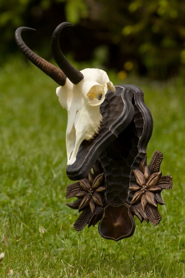 Dar od dobrého kamaráta