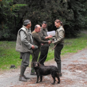 Úspešné FSMP 106b.-l.cena