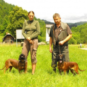 Uchovnene 103 bodove fesandy