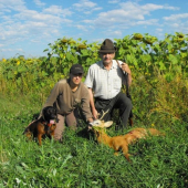 Jessova dohladavka :-)