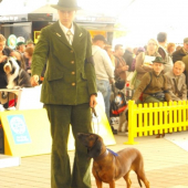 WDS - CAC, R.CACIB  Jessík :-)