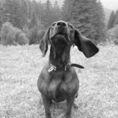 Oznam: ...