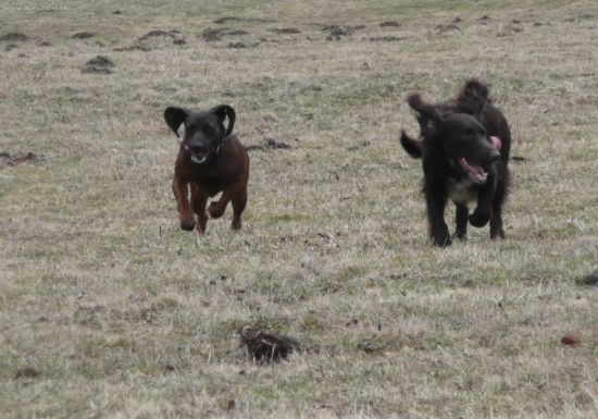 Ta vlavo mi pripomina nejake zvieratko :-)