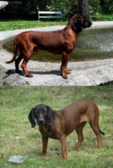 Budúci rodičia :-)