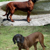 Budúci rodičia :-)