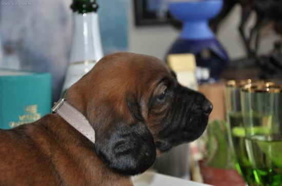 Arka Deravá skala - Poľka:-)