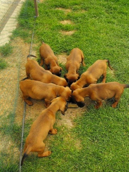 a takto papkáme :-)