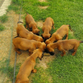 a takto papkáme :-)