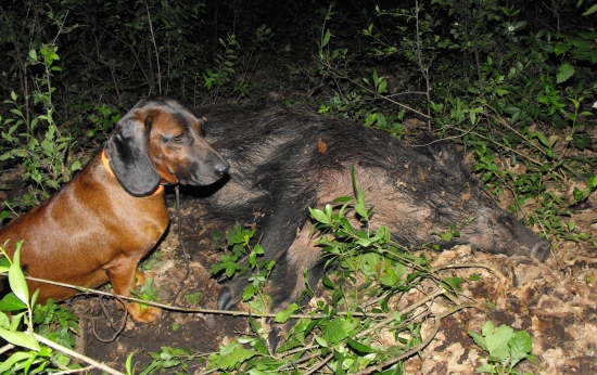 Po dobre odvedenej robote